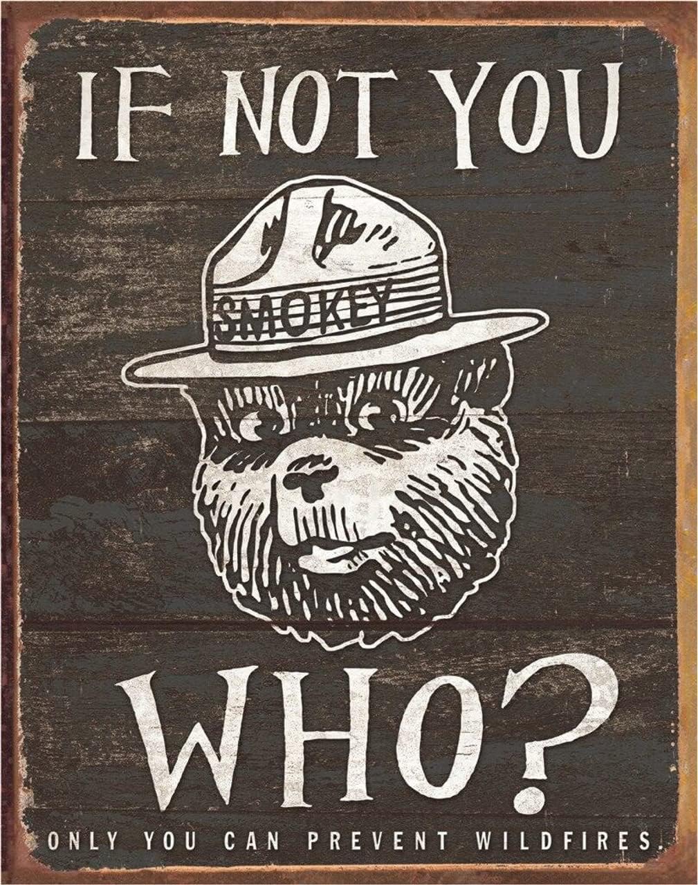 Desperate Enterprises Smokey Bear Tin Signs